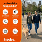 Semelles Massantes INSOLEA™